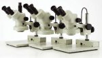 Stereo Microscope